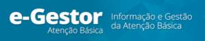e gestor